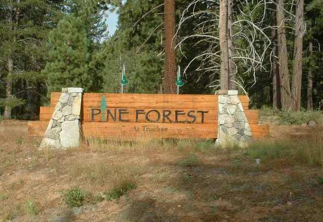 Learn more about Pine Forest