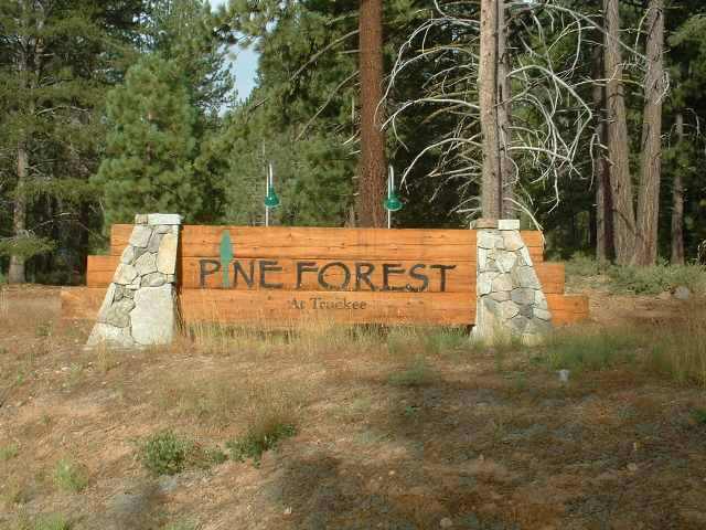 pine-forest-logo