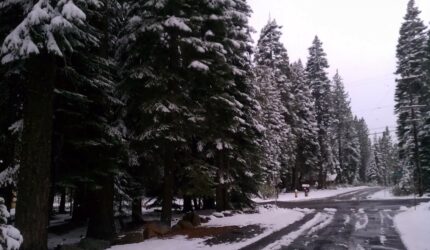 Lake Tahoe First Snow